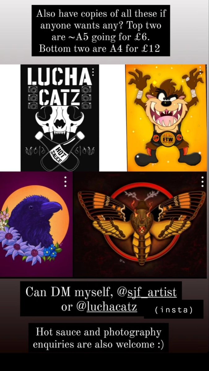 melloncollieee's tweet photo. May as well pop this on here too. Check out Lucha Catz and sjf_artist on insta ☺️💜 https://t.co/tWvjrU32ty