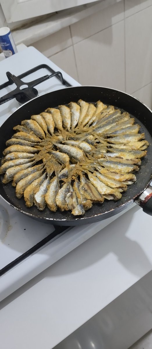 , Bugün de köprü bunu verdi bize