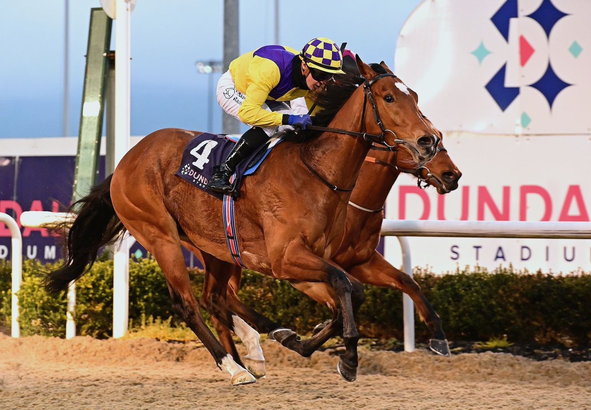 Son Of Gleneagles Delivers On Debut. Gleneagle Bay (4g Gleneagles – Charlotte Rua, by Redback) made a perfect start to his career when justifying... bit.ly/3PFFDIa