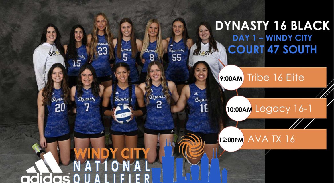 DYNASTY 16 Black 2024 🏐 tweet media