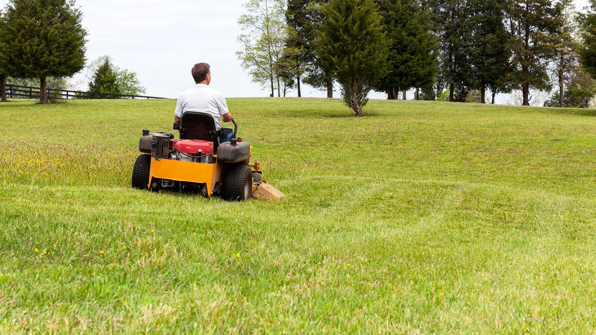 Gardening Assistant at Forward Gardening and Maintenance

Based in #Northfield

For more information and to apply, please email flissgrater@hotmail.com

#BrumJobs #AgricultureJobs #GardeningJobs