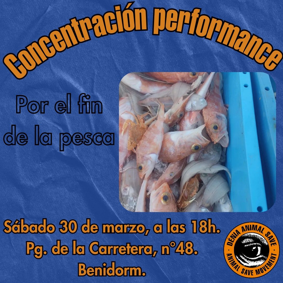 deniaanimalsave's tweet photo. El próximo día 30 performance concienciación por el fin de la pesca

🦐 ¡Únete a la acción, los animales marinos también nos necesitan! 🦞🐠🐟🐳🐋🐬🦈🦭🐡🐙

📩Más info por privado 📩

#noalapesca #peces #lonja #vidamarina #lospecessonamigosnocomida #barcosdepesca #oceanosmuertos https://t.co/TsqOEE5d45