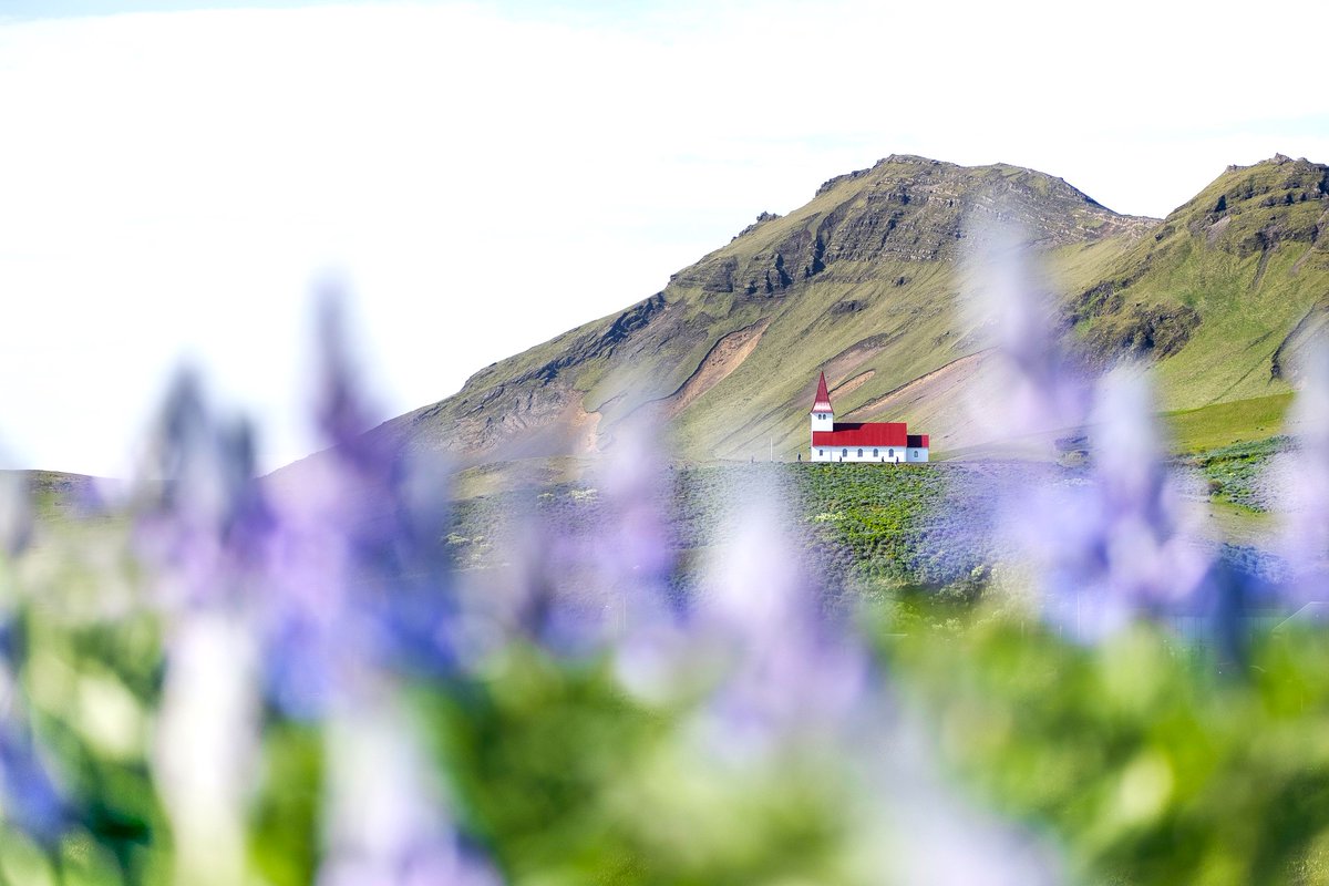 🌸 Spring is in the air and so are the savings! 🌼 Dive into the beauty of Iceland with our exclusive Spring Sale on tours! Book now and let the adventures begin! 🚌🗻🌅 bustravel.is/special-offers… #iceland #spring #springsale