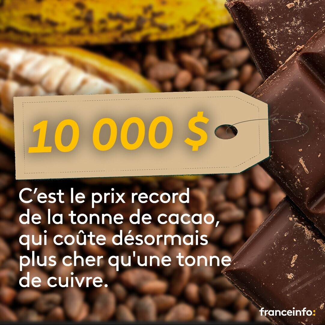 Quand l'agro-industrie prend le dessus sur les mines, ça donne ceci:
Information livrée ce matin par franceinfo, la tonne de cacao( OR BRUN) est à 10.000 dollars américains dépassant ainsi celle du cuivre(8.764$)
Si tu plantes aujourd'hui ton champ, en 3ans maximum et sans