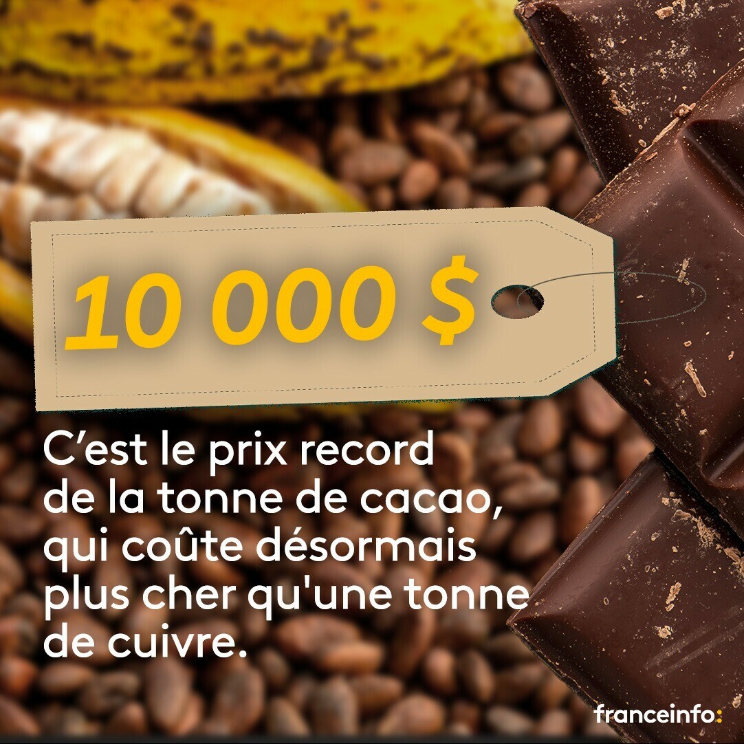 Quand l'agro-industrie prend le dessus sur les mines, ça donne ceci: Information livrée ce matin par franceinfo, la tonne de cacao( OR BRUN) est à 10.000 dollars américains dépassant ainsi celle du cuivre(8.764$) Si tu plantes aujourd'hui ton champ, en 3ans maximum et sans…