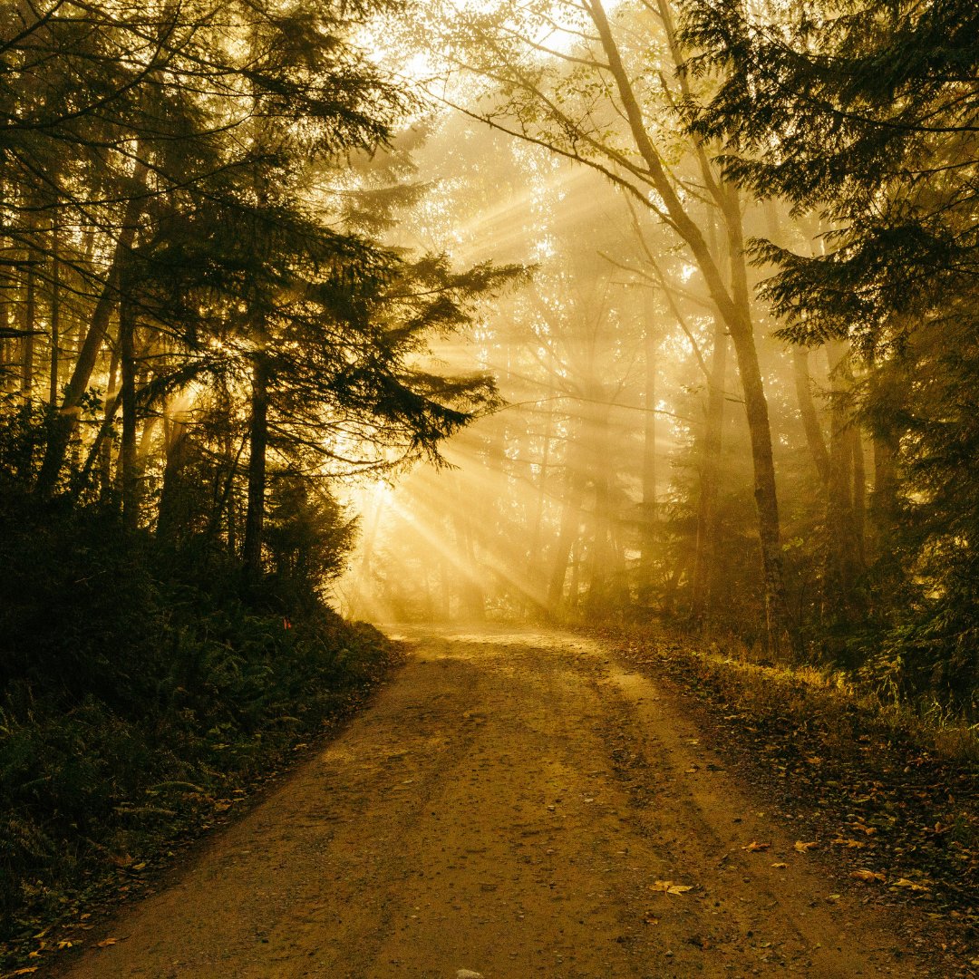 MDRecovery's tweet photo. Dedicating yourself to a path of recovery is an incredibly brave and powerful choice - don't forget to recognize your strength, resilience and courage. You are worth it 💪🏻 #trusttheprocess https://t.co/Zl7HUbnGBq