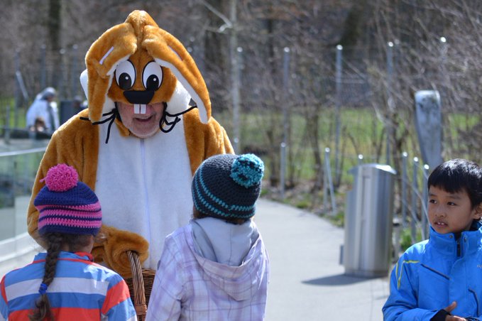 Zooverband (VdZ) tweet media