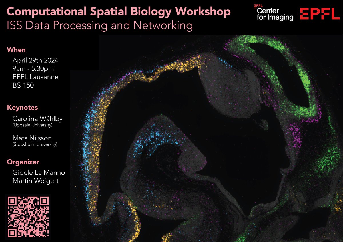 Workshop alert: Together w @GioeleLaManno we organize on April 29 a 1day onsite event at EPFL about computational imaging based ST feat @CarolinaWahlby, @MatsNilssonLab & local ppl @epflSV @EPFL_Imaging . epfl.ch/labs/weigert-l…