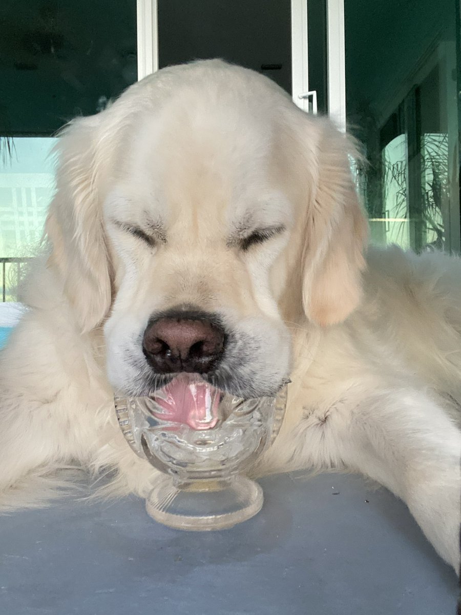 The Golden Ratio tweet media