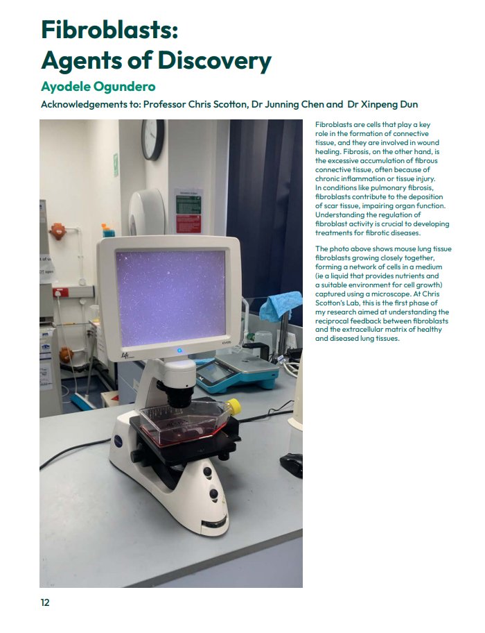 Sir_HayWizzy's tweet photo. Images of Research | Early career researchers | @universityofexeter
Barely a month after the commencement of my Ph.D. studies, I entered the 'Images of Research' competition. 
#phd
#medicalstudies
#fibroblasts
#fibrosis
#pulmonaryfibrosis
#mechanotransduction
#universityofExeter https://t.co/ORgqurbnsa