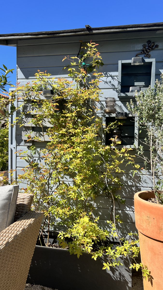 IstriaLife's tweet photo. Spring, in our Istrian garden. https://t.co/n2XiD6iHzl