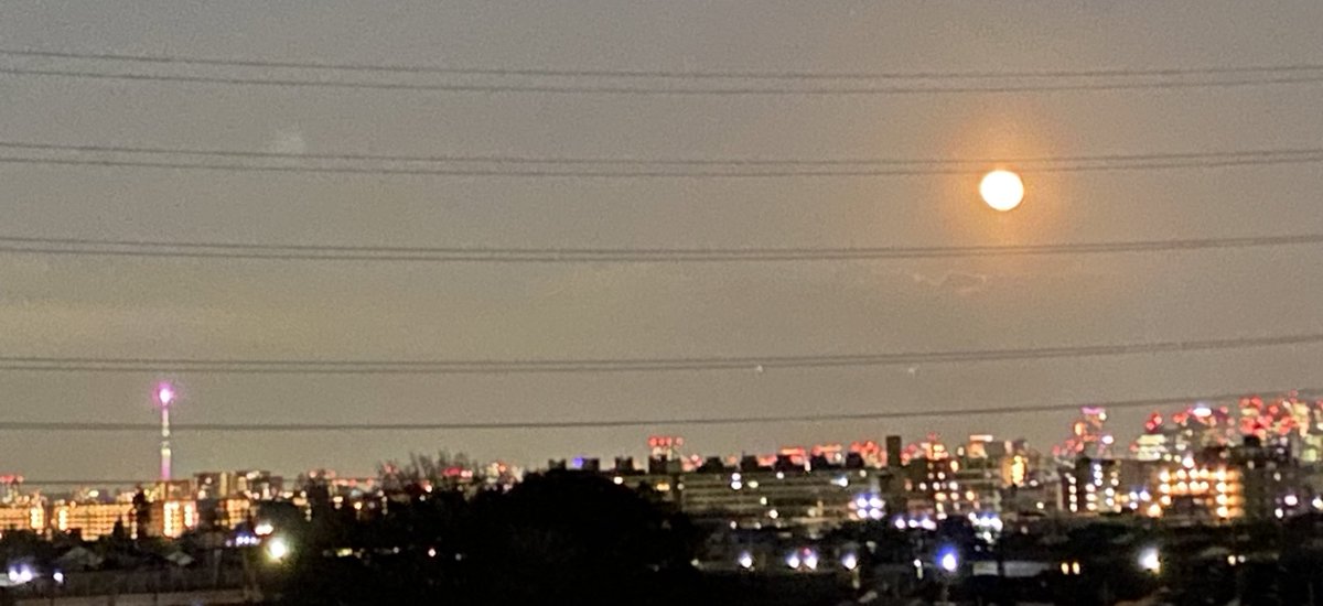 #満月 🌕
とっても綺麗です