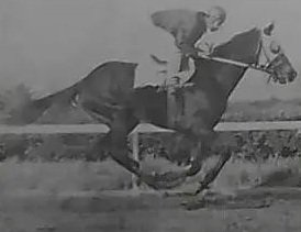 HORSERACING1002's tweet photo. CACHAVA🇲🇽 1963 
(RULERSHIP  -  TEHUANA  BY  GOLDLEIGH) #Cachava
B/ O Carlos Gomez 🇲🇽1963.
28-11-6-3
1965 champion 2yo filly. 1966 triple crown winner 👑👑👑, champion 3yo Filly.
Stakes  Jockey  Club  Mexicano , Gran Premio Nacional, Derby  Mexicano. https://t.co/v6FOT0X8be