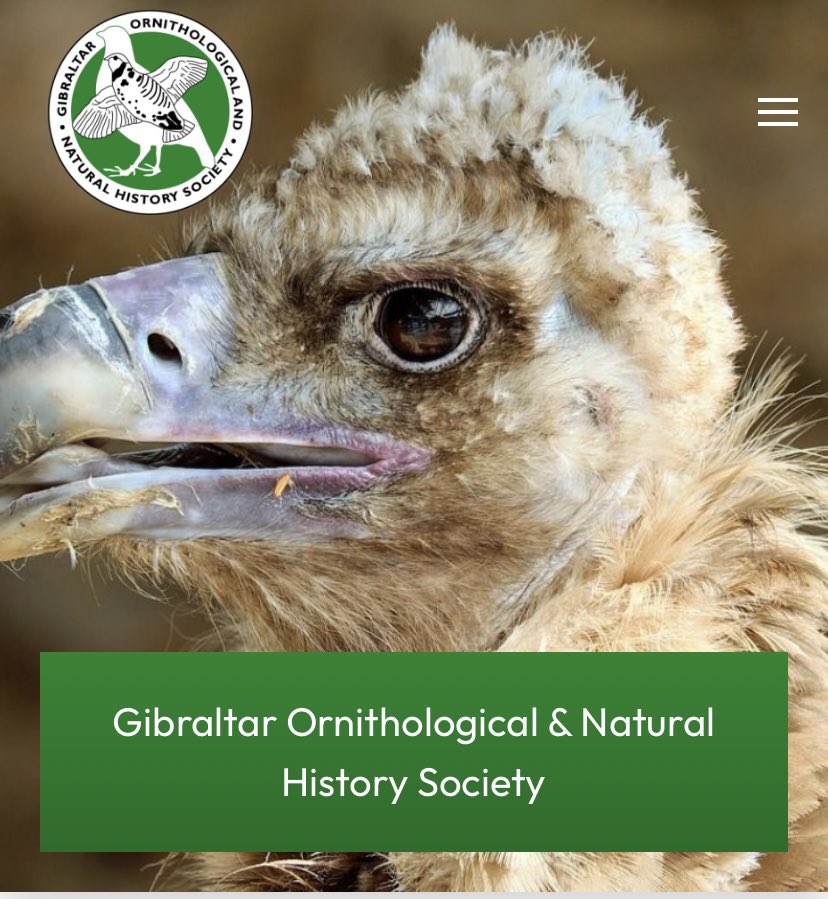 gonhsgib's tweet photo. We have a new look website! Check it out https://t.co/Pq9RrfMgGm

Many thanks to @croppergib for updating us! https://t.co/DWZLTjOPWk