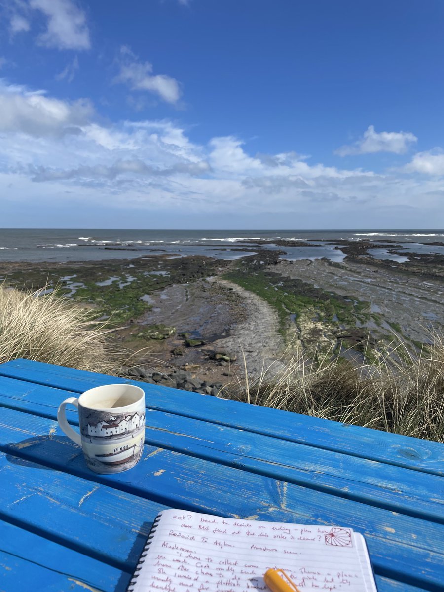 Writing in Northumbria for a few days. Here’s the view from the table in my outside office! ♥️✍🏻