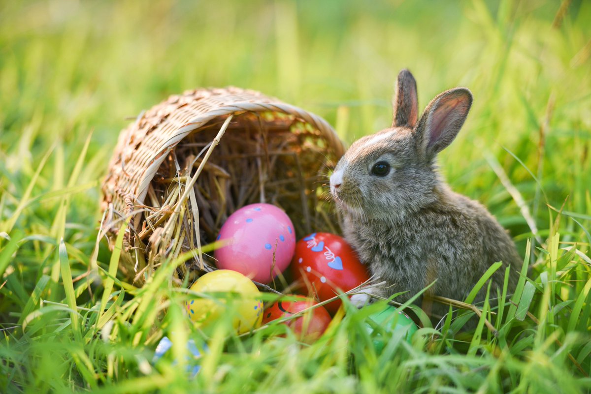 All OVB locations will be closed this Friday, March 29 in observance of Good Friday. Normal hours of operation will resume Saturday, March 30. 

From all of us at OVB, we wish you a very happy and blessed Easter! 🐇
