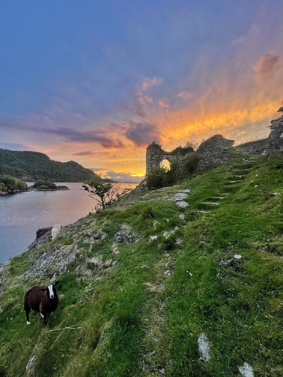 Which of these castles in our care is the oldest? A, B, C or D? A. Drum Castle, 📸 Linnda Pipit B. Culzean Castle, 📸 Mark Simpson C. Craigievar Castle, 📸 Thomas Gillishan D. Strome Castle, 📸 Teemu Lahti #ForTheLoveOfScotland