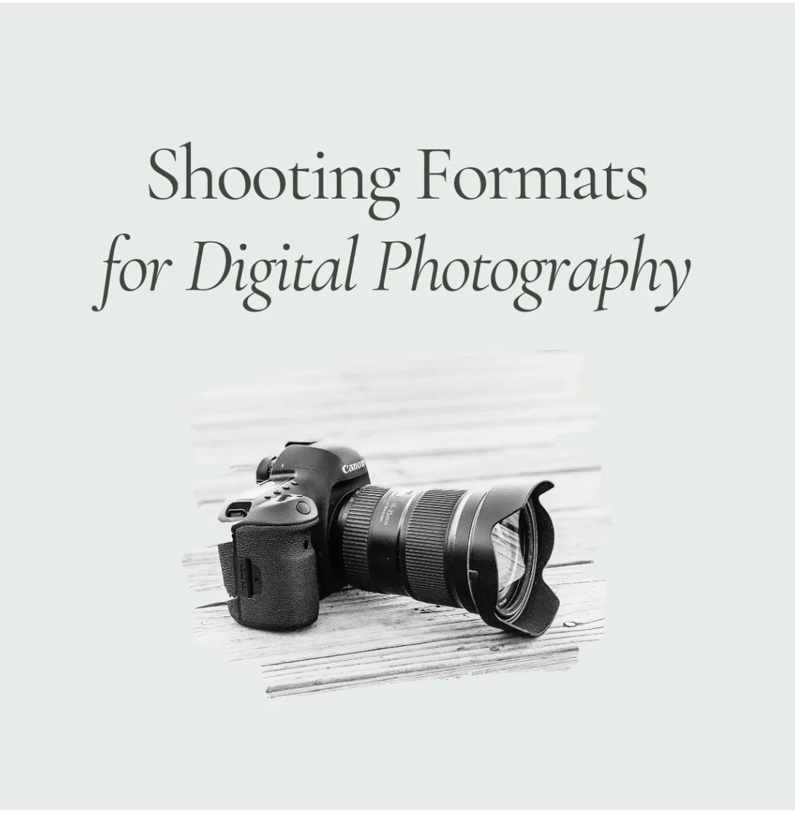 coastalcaptures's tweet photo. Want to learn more about the different shooting formats without any technical jargon?

I got you covered. 

https://t.co/GlByseeWEL #photographytips https://t.co/E0aOwa5NGp