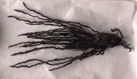 TrimontiumTrust's tweet photo. This bundle of #Roman spun threads was found at #Trimontium They are a rare survival of textiles which are highly perishable &amp; usually survive only as fragments. Often produced in the home, wool was collected and prepared, then spun into yarn and woven into cloth. https://t.co/a9YWeM6Fk5