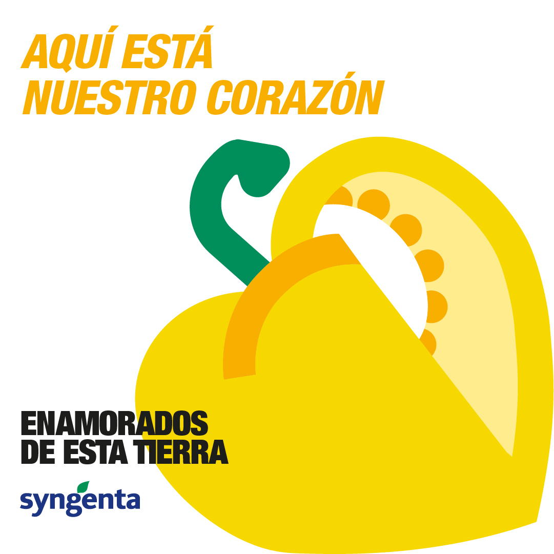 SyngentaES's tweet image. La calidad del #pimiento que se produce en Almería y la Región de Murcia, los ha convertido en la principal referencia en todo el mundo. 🌶️

💚A través de nuestra campaña #EnamoradosDeNuestraTierra, queremos reconocer su esfuerzo y agradecerle su confianza.