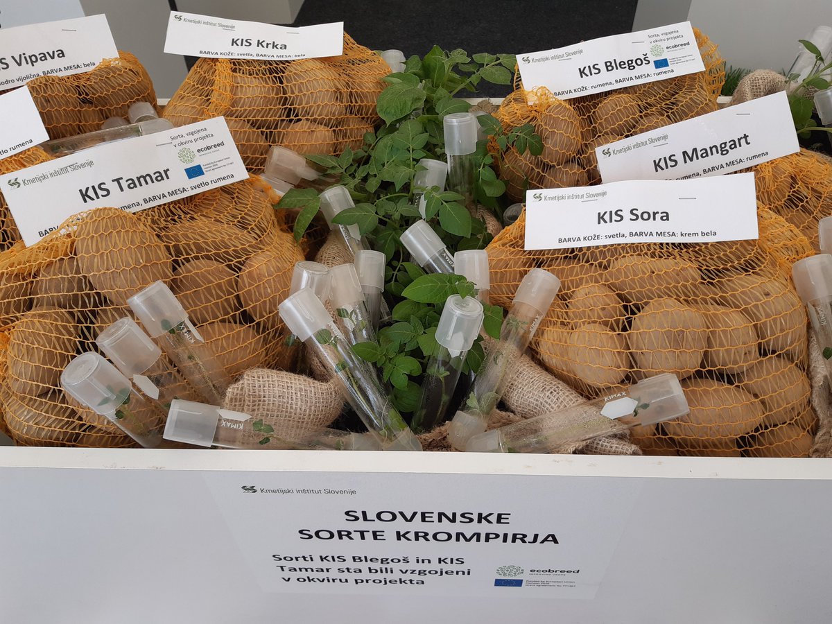 Ecobreed project tweet media