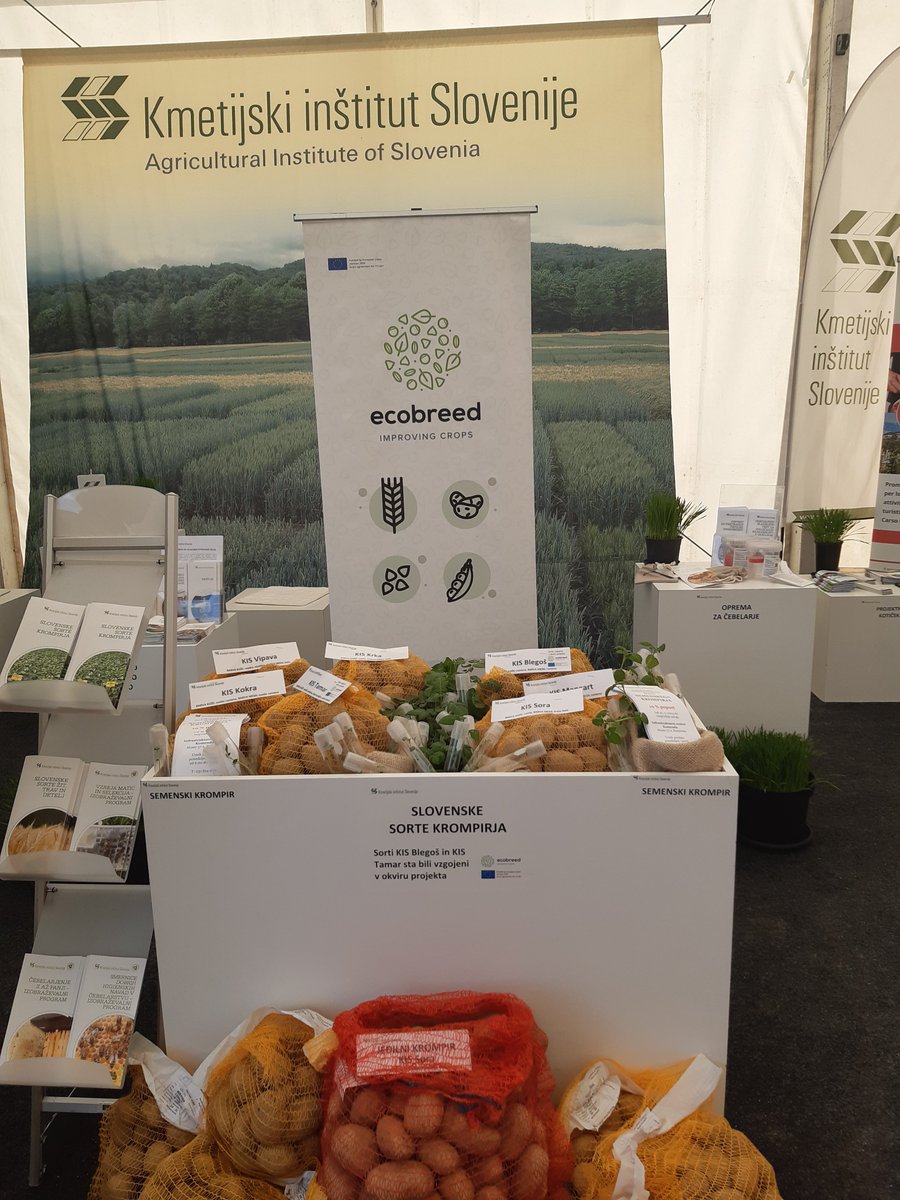 Ecobreed project tweet media