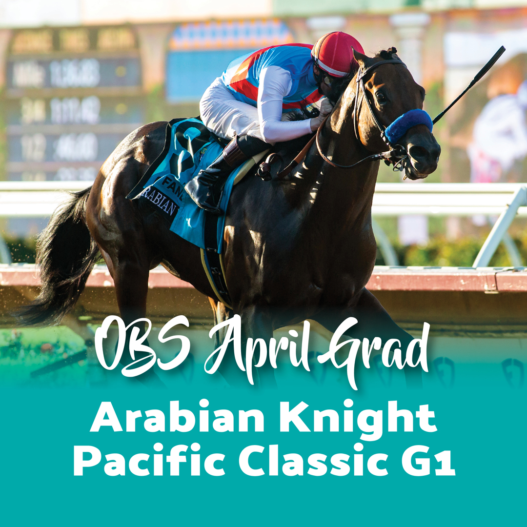 Arabian Knight (Uncle Mo) is a 2022 OBS Spring grad bought for $2.3 mil by Zedan Racing Stables. His total earnings of $1.5 mil in 5 career starts. His most prestigious win is the G1 FanDuel Racing Pacific Classic Stakes. Get your next champion at OBS Spring on April 16-19.