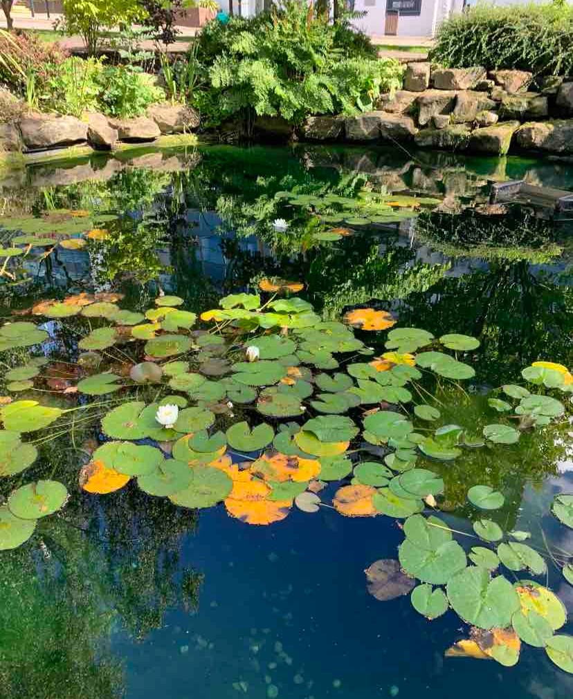 The Derby Sound Collective is an inclusive music community for students, staff and friends. 🎶🎺 

Sessions will be held in the Atrium of our Kedleston Road site at 4pm on 27 March, 24 April, 8 May, 22 May and 5 June.

To register your interest, contact musiccommunity@derby.ac.uk