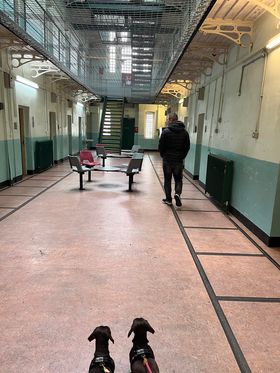 SheptonMPrison's tweet photo. ๐ถ Don't leave your four legged friends at home this Easter Holidays! Bring them with you, after all we are a dog friendly attraction! ๐ถ
Drop a photo of your dog behind bars!
#Dogfriendlyattraction #Shrewsburyprison #Prisonlife #Easterplans https://t.co/1jNEiJlR3k