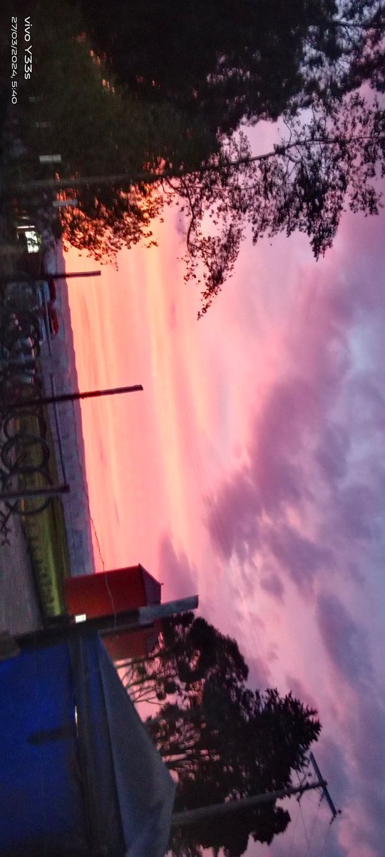 JRodrigud's tweet image. 