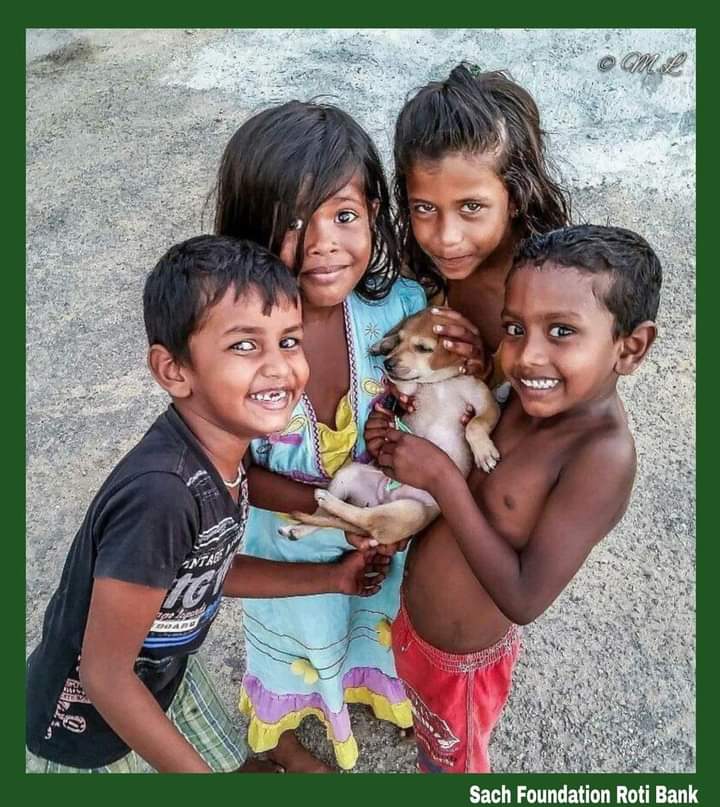 It’s the little things that make happy moments. ❤️ Website- sachfoundationrotibank.com Sach Foundation (Roti Bank) sachfoundation0001@gmail.com +91-9729798245 #SpreadHappiness #RotiBank #MakeIndiaProud #ngo #chandigarh #humanity #socialwork #BeKind #socialservice #sunitamaa