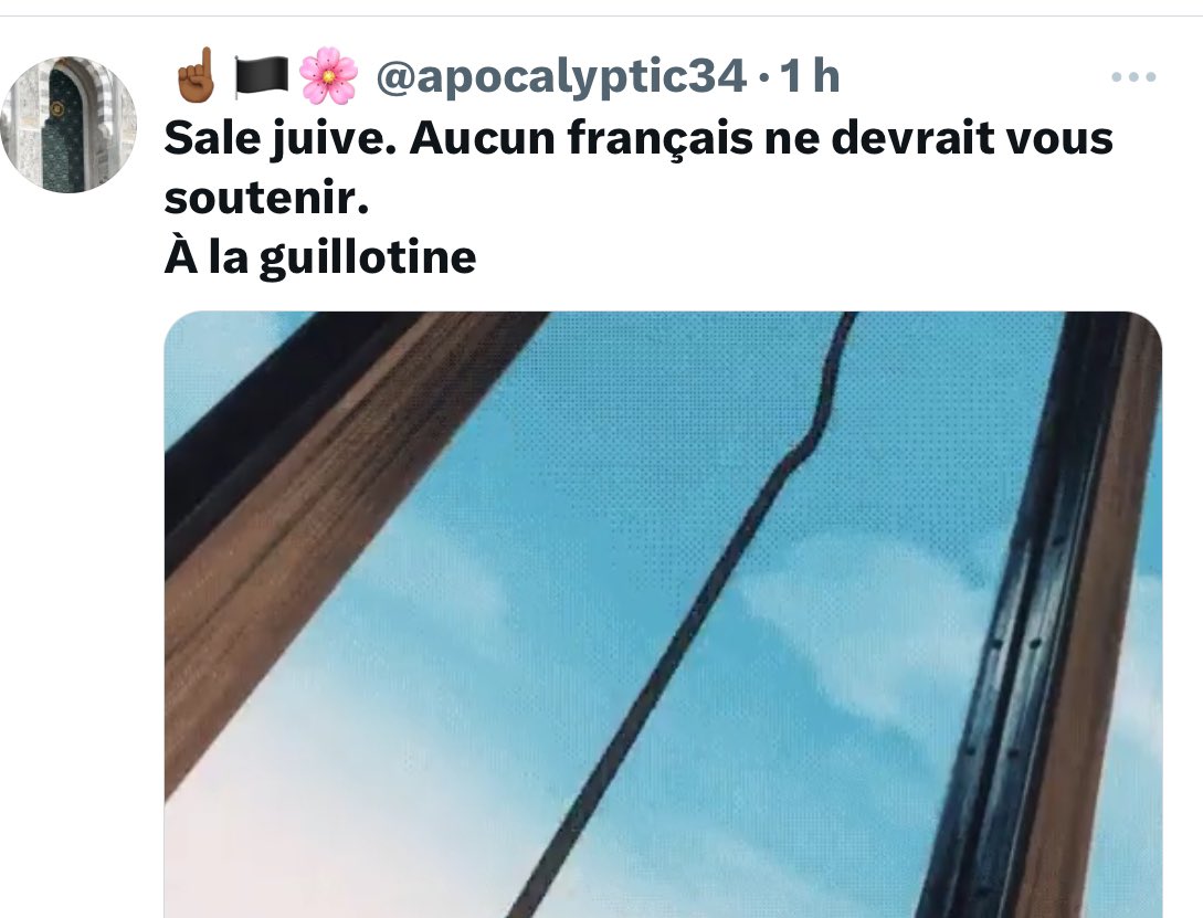 Isabelle Balkany tweet media