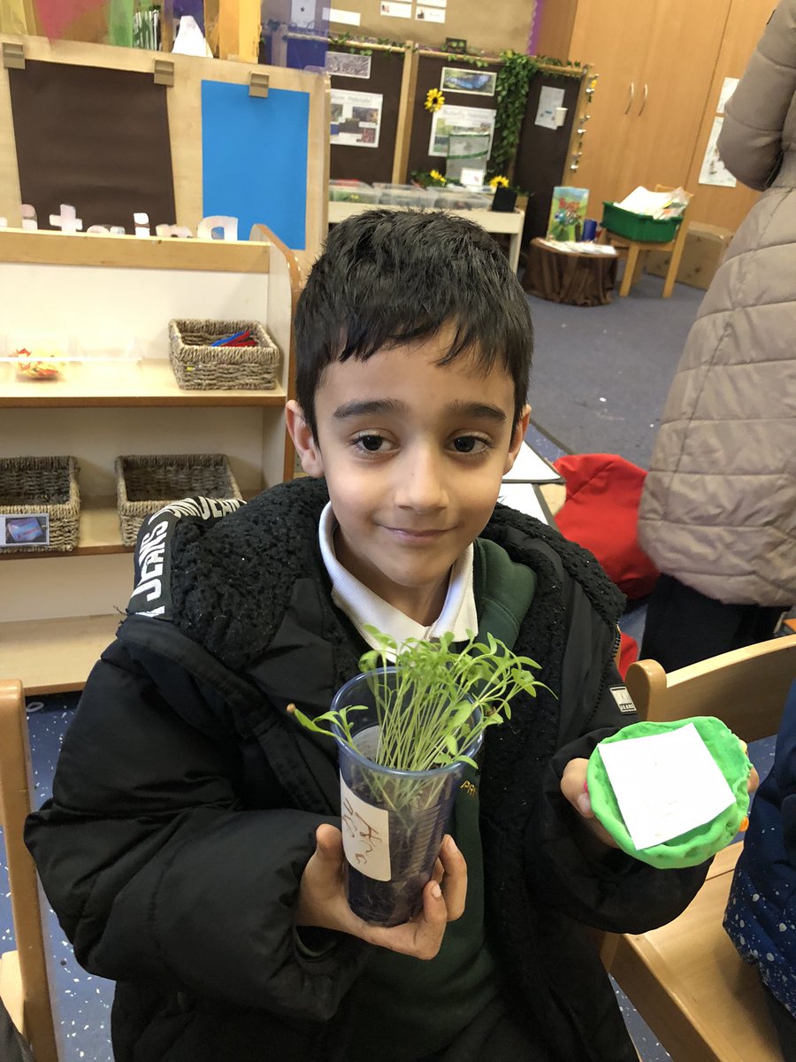 Peel Park Primary School Accrington tweet media