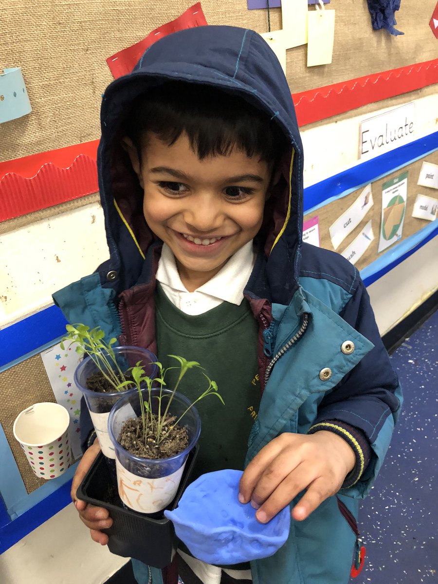 Peel Park Primary School Accrington tweet media