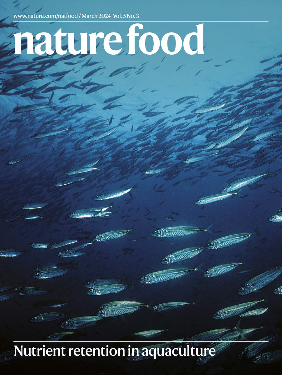 March issue: debt and hunger, decision support systems, improved rice cultivation, trade-offs in agriculture, food-related health burden, climate and sheep production, fragmented cropland in China… and more! nature.com/natfood/volume…