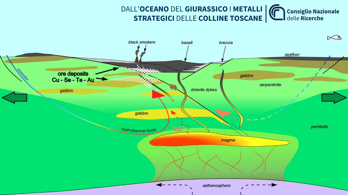 CNRsocial_'s tweet image. Dall&apos;oceano del Giurassico i metalli strategici delle colline toscane
Nella miniera di rame di #MontecatiniValDiCecina il #Cnr_Igg ha scoperto la presenza di selenio, tellurio e metalli preziosi, con concentrazioni ben oltre la media terrestre👇
cnr.it/it/nota-stampa…

@MC_Carro