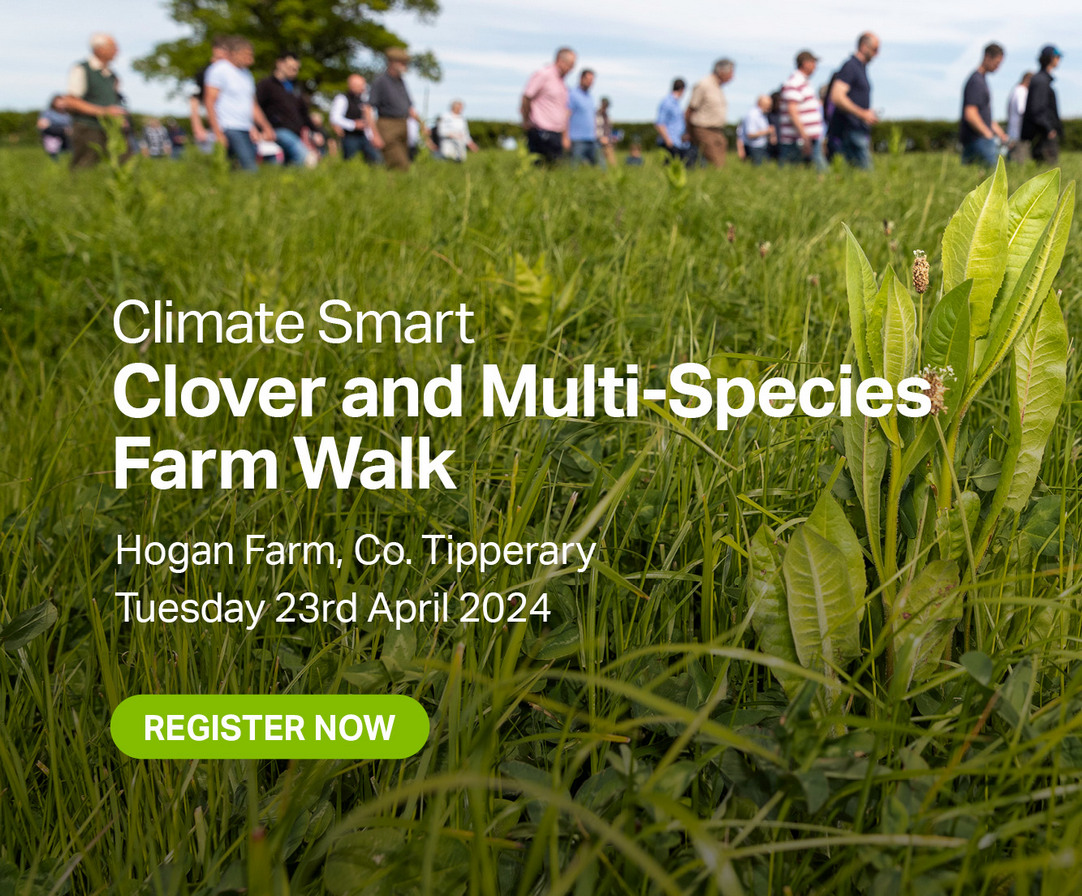 Join Germinal’s clover and multi-species farm walk in partnership with Brian Hogan.

Learn Brian's successful strategies for boosting production while also learning how to enhance your farm's sustainability

Register now: germinal.ie/clover-and-mul…