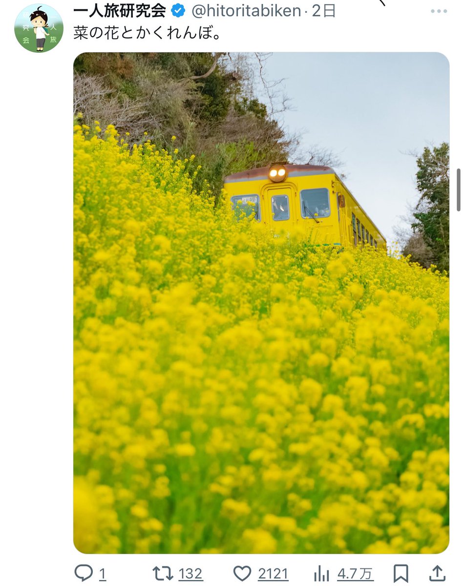 一人旅研究会 tweet media