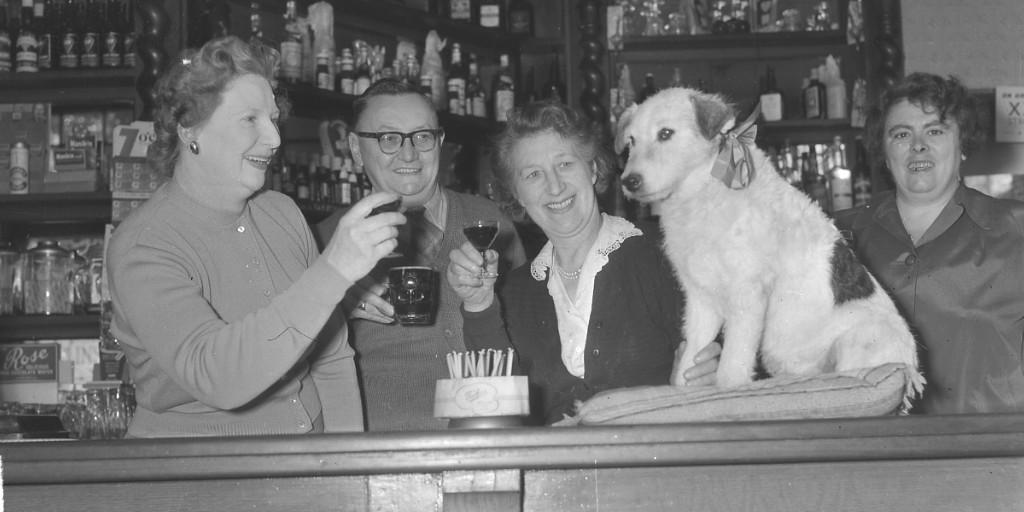 In 1958 Toby the terrier celebrated his 20th birthday. He lived at the Station Hotel on Hampstead Road, Brighton. Hotel owners Mr and Mrs Morely are pictured toasting to his future health. 🍰 ⭐ From the Brighton Gazette 18th Oct, 1958