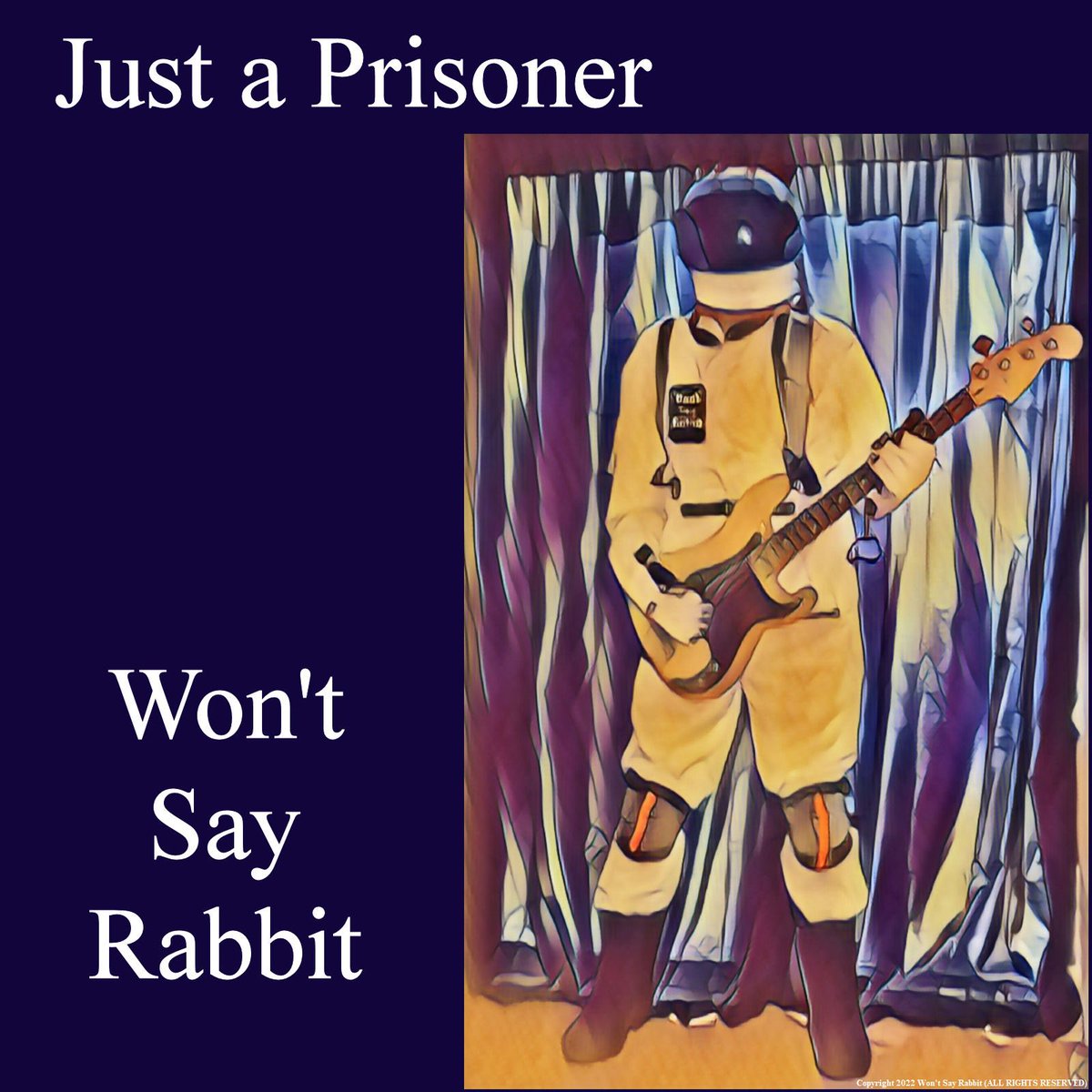 Check out our review of the new single by @wontsayrabbit 

dcxpclive.com/live-album-rev…

#wontsayrabbit #justaprisoner #punk #punkrocknroll #garagepunk #garagerock #dcxpclive #punkblog