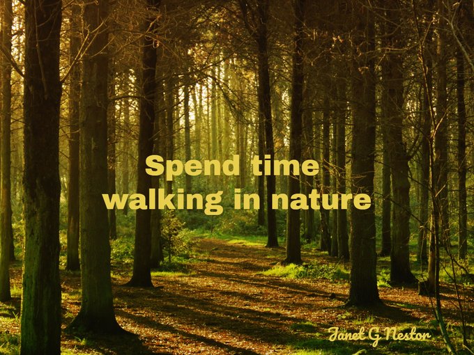 #WellnessWednesday

Spend time in nature.
🌿
Go for a walk in the woods.
🌲🌲🌲
Hug a tree.
🌳
#Nature #Trees
#FindingNaturesMagic 
#SharingPlanetBeauty