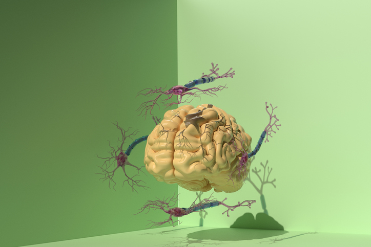 CUP_RDirections's tweet image. 🟣 How do we ensure safety and effectiveness of #bioelectronic devices &amp;amp; judge when they are truly necessary for the rehabilitation of neurological conditions? ask #RDBioelectronics EiC Prof. Samit Chakrabarty @sc_laboratories et al.

Find out more here: bit.ly/3nXCtEt
