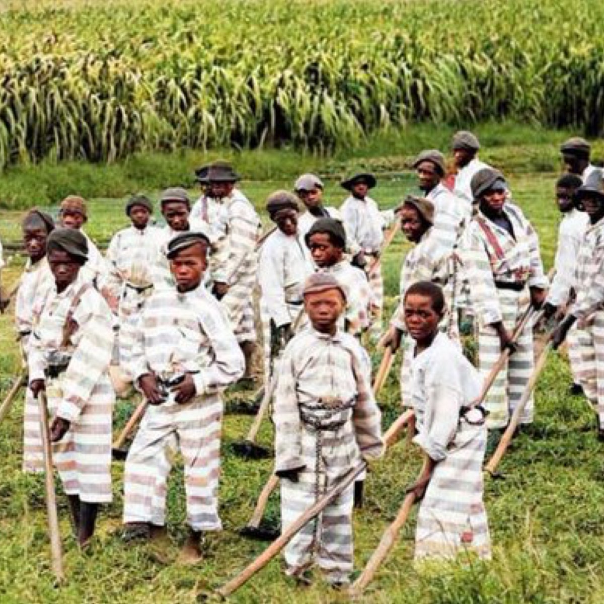 AfricanArchives's tweet image. This is 25 years after the "end" of slavery.

These Black boys are all in a forced labor camp, working for free, often for 6 days a week. Many were arrested and convicted for ‘loitering’ &amp;amp; ‘vagrancy’ or ‘speaking loudly to a white woman’