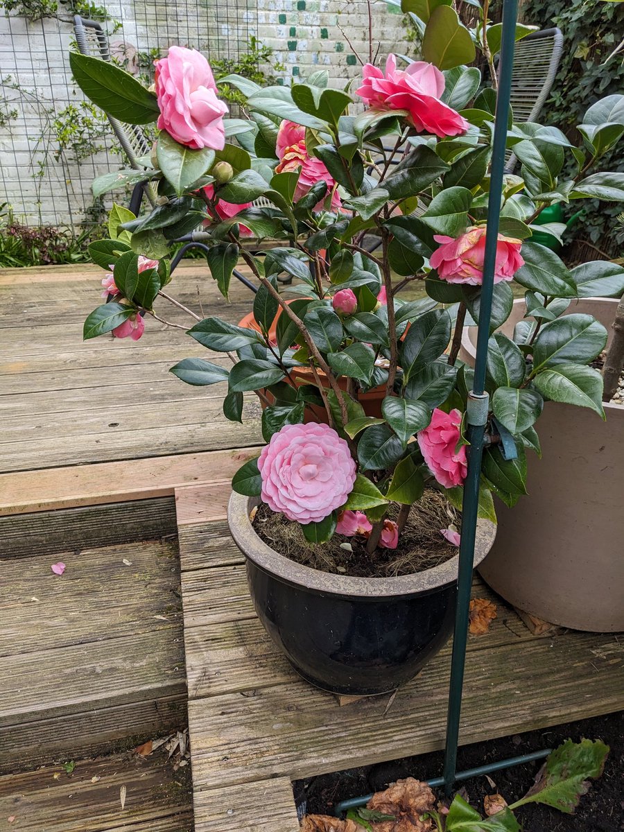 On my walk to the office