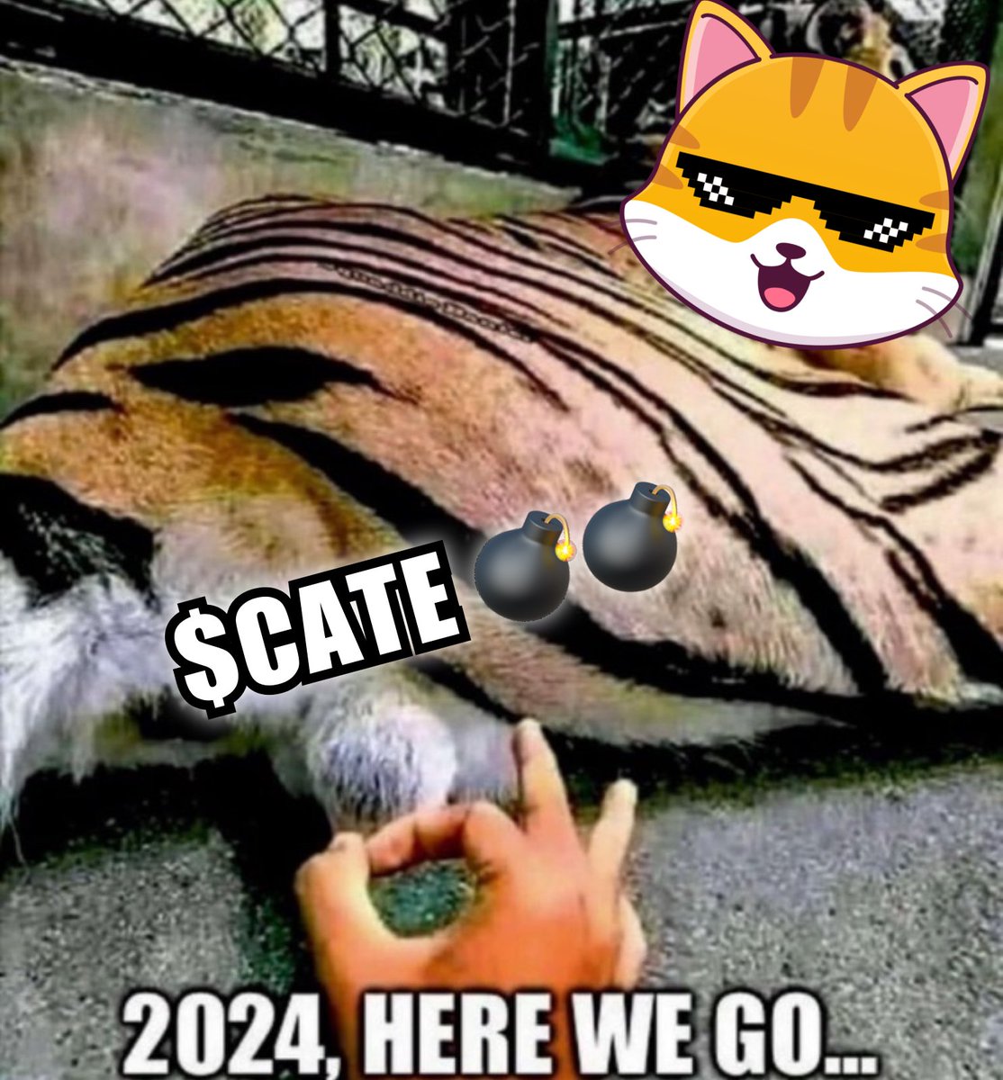 Cate Coin (@CateCoin10) / Posts / X