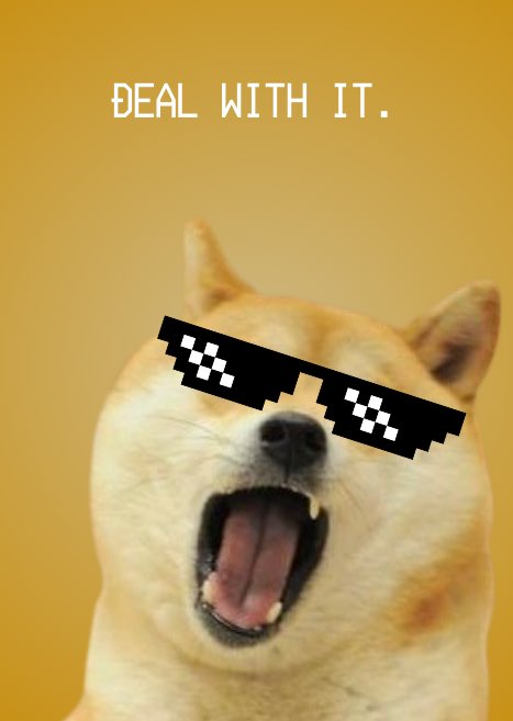 𝗢𝗺𝗻𝗼𝗺 𝘁𝗼 𝟭𝟬𝗯𝗶𝗹 𝗺𝗰𝗮𝗽 𝗶𝘀 𝗳𝘂𝗱

𝑶𝒎𝒏𝒐𝒎 𝒘𝒊𝒍𝒍 𝒔𝒖𝒓𝒑𝒂𝒔𝒔 𝒂𝒍𝒍 𝒐𝒕𝒉𝒆𝒓 𝒅𝒐𝒈 𝒎𝒆𝒎𝒆𝒄𝒐𝒊𝒏𝒔

Here is why:

$doge is the 1st dog meme coin, the king.

$shib is the 1st dog meme coin on Ethereum, the biggest smart contract platform.

$wif is this