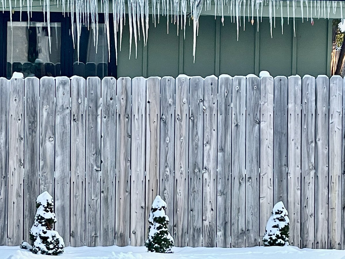 Andy_C_Allen's tweet photo. January felt/looked more like March, than actual #March. 😩

Come on, spring, we’re more than ready for you! ☀️ 🌸 🌿

#Winter #Spring #Minnesota 🥶 https://t.co/Wz35hX4Bcx