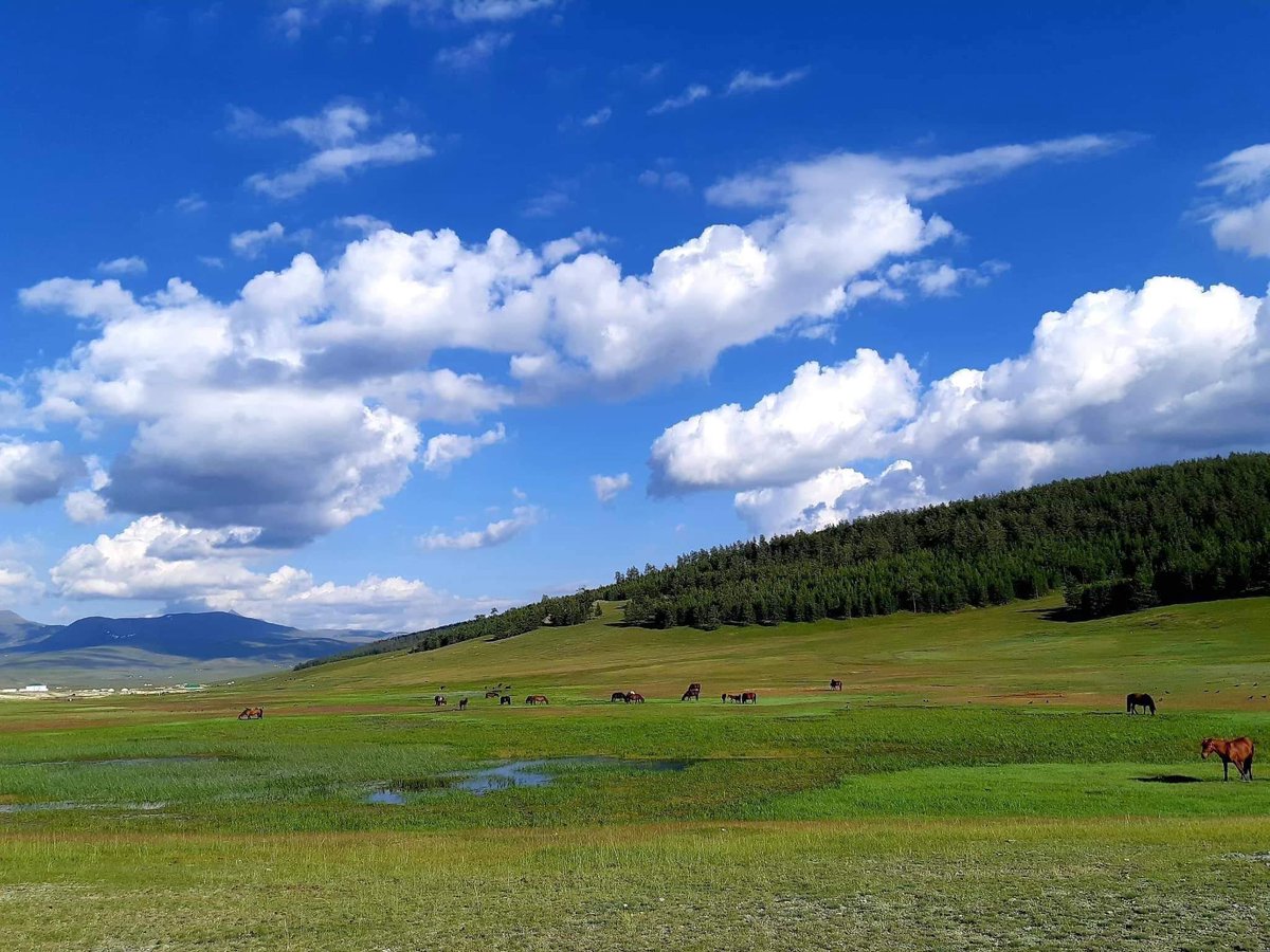 Амралтаар хөдөө явахыг бүгдээрээ хүсдэг биз дээ