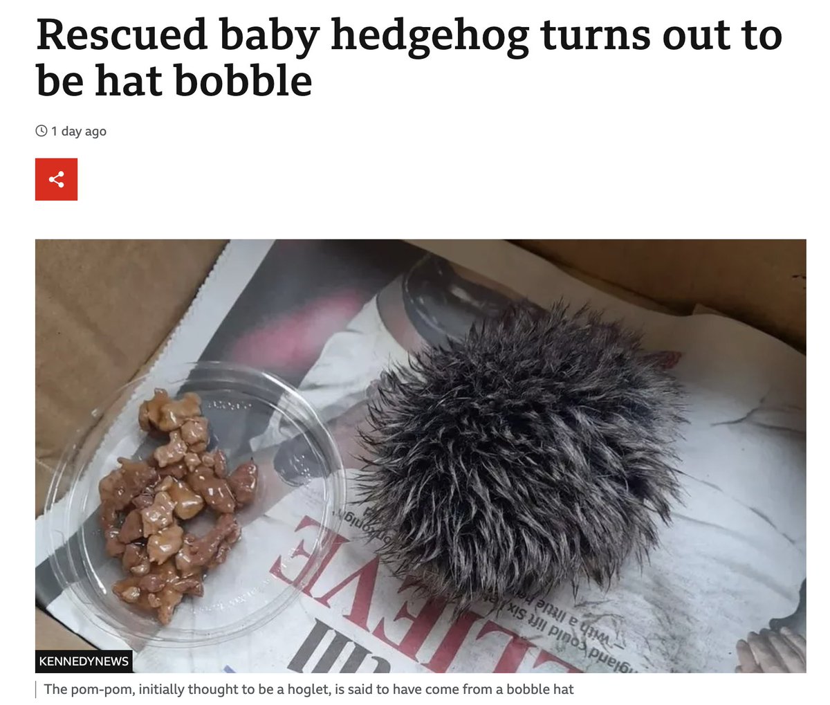 Karen, I've got a Hedgehog without a pulse here...