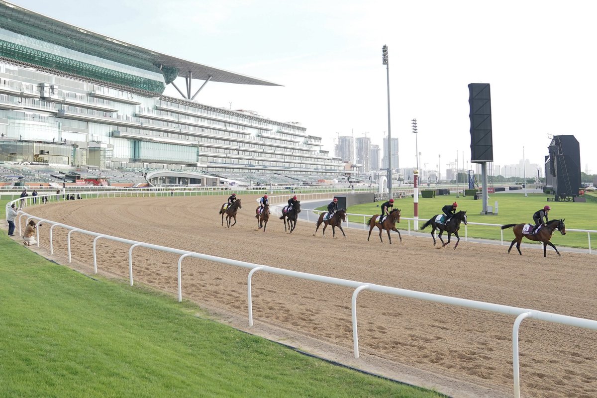 Who doesn’t love an O’Brien army track work picture 🇮🇪⚔️ #DWC24